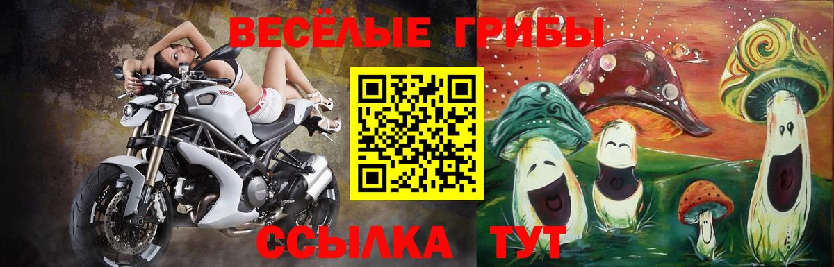 сколько стоит  Галлюциногенные грибы ЛСД  Ногинск  Вход с VPN  Псилоцибиновые грибы прущие грибы 