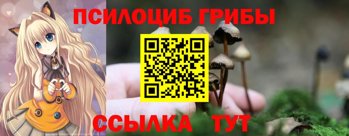 Галлюциногенные грибы мицелий Ногинск